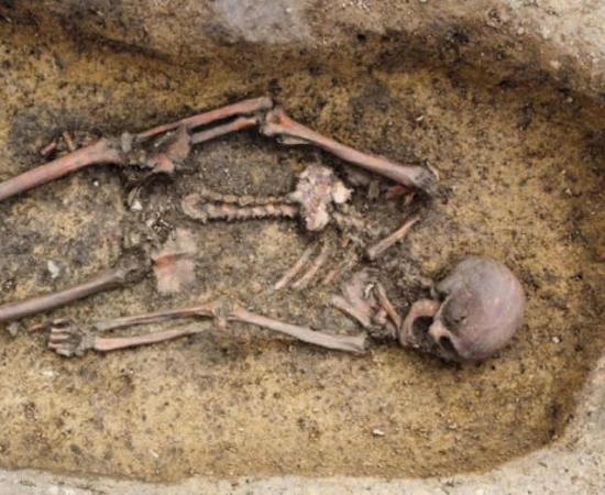 50 Danish Viking Skeletons Unearthed in a State of ‘Exceptional Preservation’